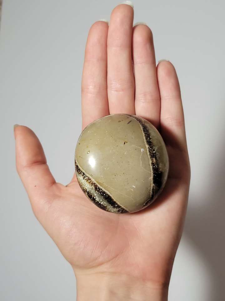Septarian Palm Stone