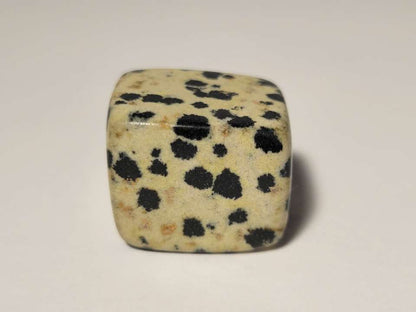 Dalmatian Jasper Tumble