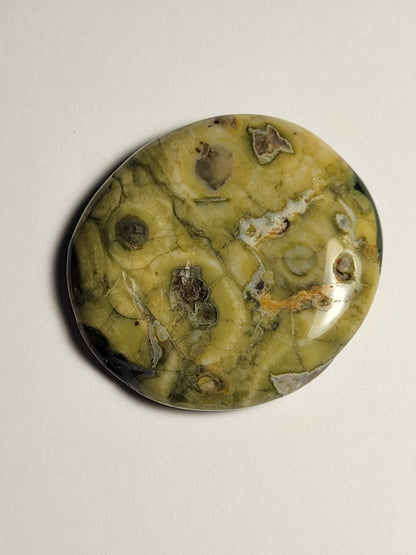 Rainforest Jasper Palm Stone