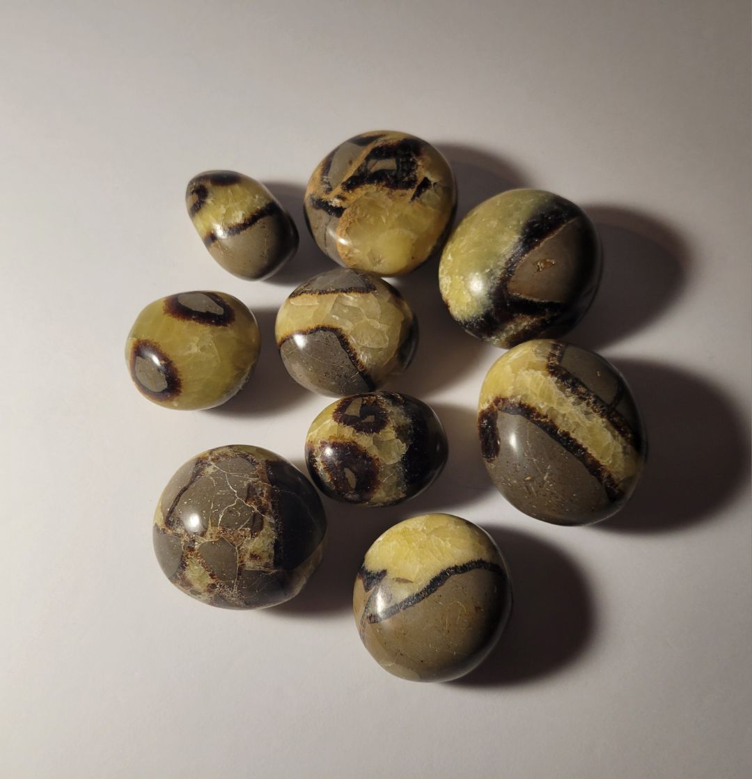 Septarian Palm Stone