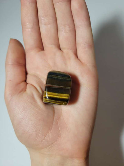 Tigers Eye Tumble