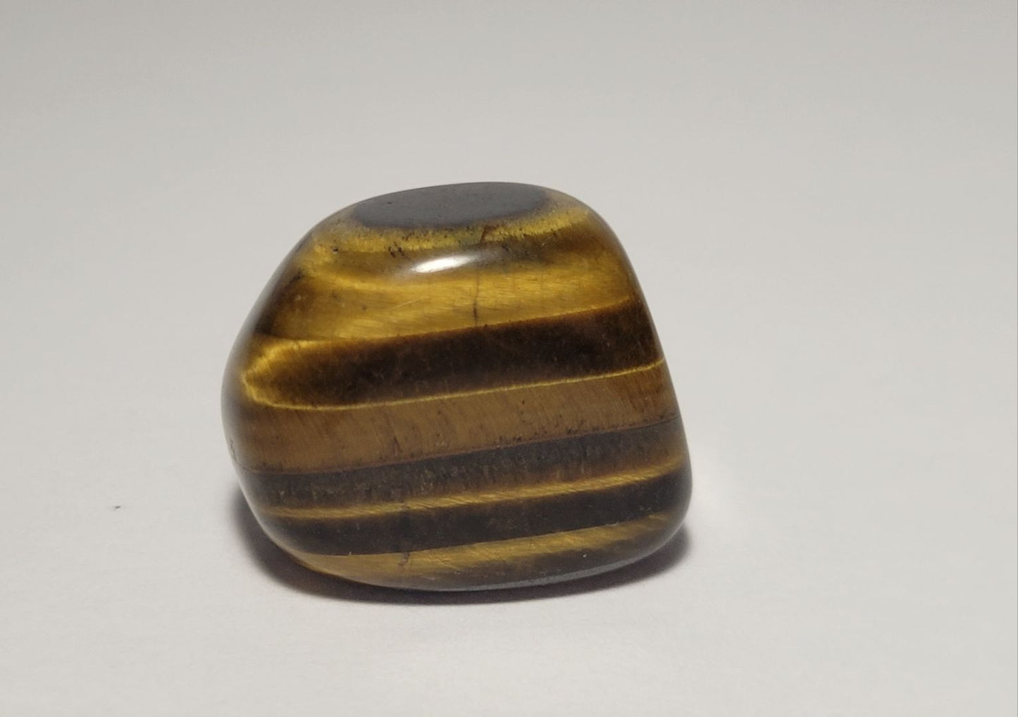 Tigers Eye Tumble