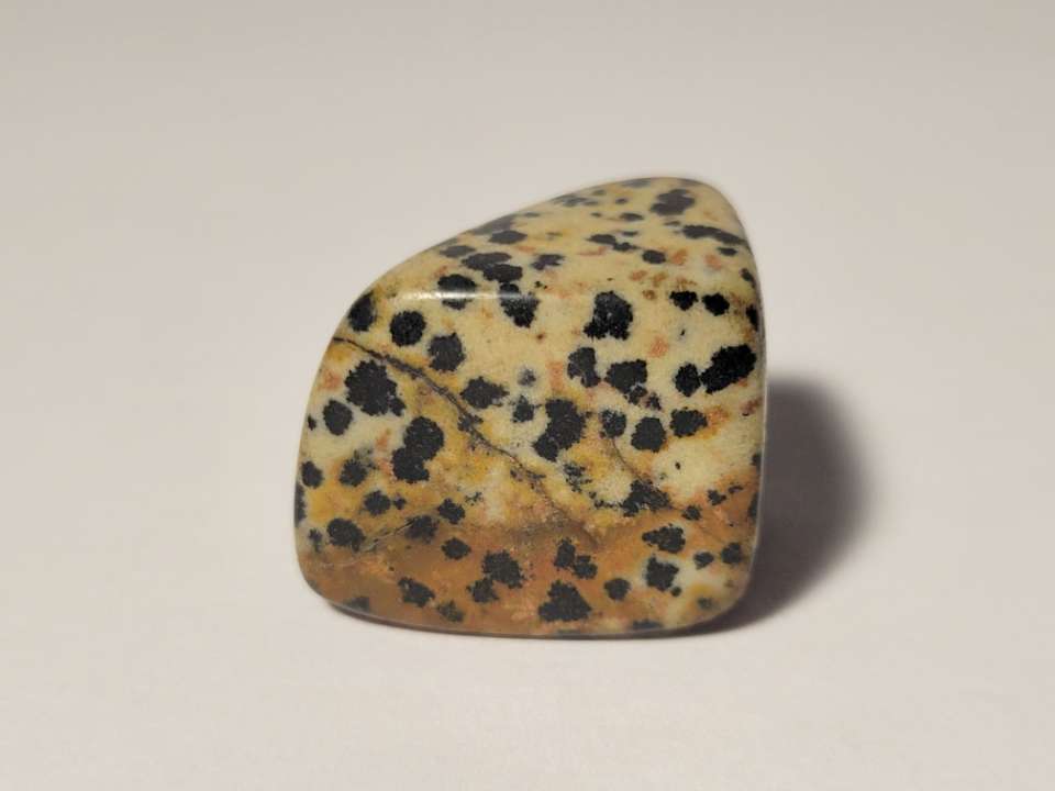 Dalmatian Jasper Tumble