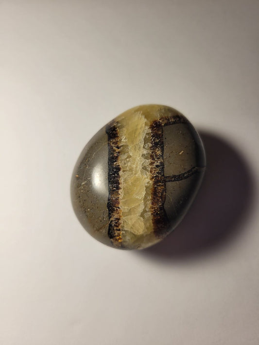 Septarian Palm Stone