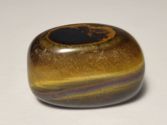 Tigers Eye Tumble