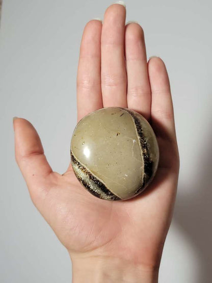 Septarian Palm Stone