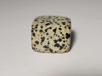 Dalmatian Jasper Tumble