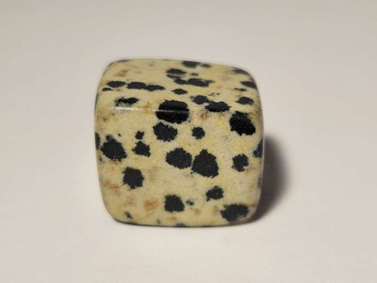 Dalmatian Jasper Tumble