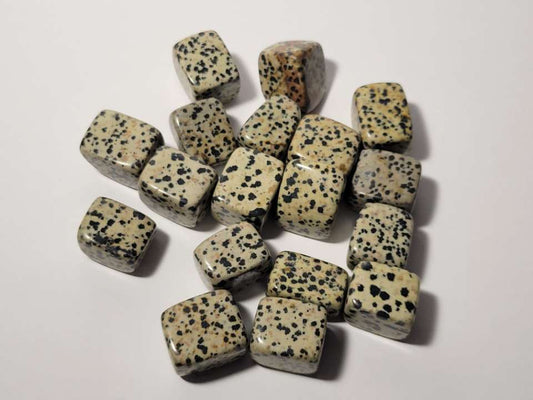 Dalmatian Jasper Tumble