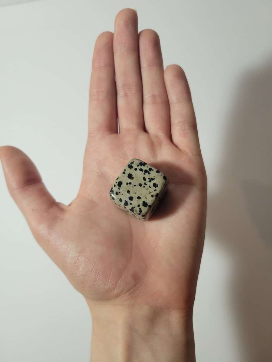 Dalmatian Jasper Tumble